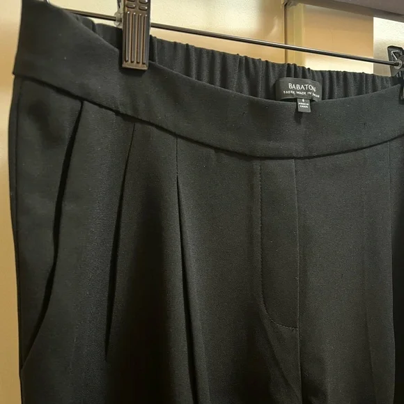 Aritiza Babaton Pleated Trousers - Picture 5 of 5